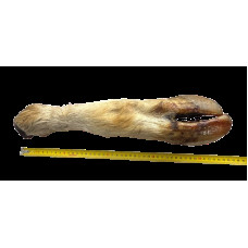 Лакомство для собак сушеная нога бычка долгая с шерстью 