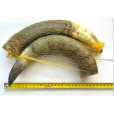 Натуральное лакомство для собак Роги буйвола сушеные 