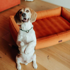 Лежак для собак и котов Happy Peppy (Хэппи Пеппи) Dolce Vita 30х45 см, Оранжевый