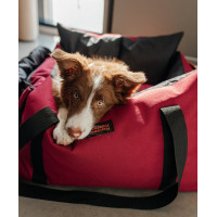 Автокресло для собак Happy Peppy (Хэппи Пеппи) DogWay Красный