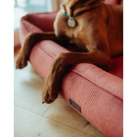 Лежак для собак и котов Happy Peppy (Хэппи Пеппи) MUR MUR GlaMURR 50х70 см, Красный