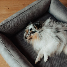 Лежак для собак и котов Happy Peppy (Хэппи Пеппи) MUR MUR GlaMURR 60х90 см, Серый