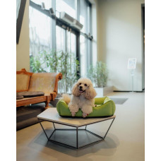 Лежак для собак и котов Happy Peppy (Хэппи Пеппи) Dolce Vita 30х45 см, Светло-зеленый