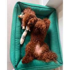 Лежак для собак и котов Happy Peppy (Хэппи Пеппи) Dolce Vita 30х45 см, Зеленый