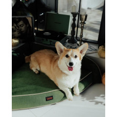 Лежак для собак и котов Happy Peppy (Хэппи Пеппи) Happy Corner Зеленый