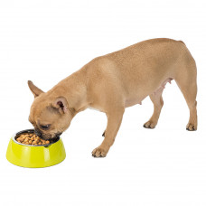 Металлическая миска для собак и кошек с подставкой Ferplast Jolie (Ферпласт Джоли)