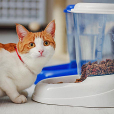 Диспенсер для корма для собак и кошек Ferplast Zenith (Ферпласт Зениз)