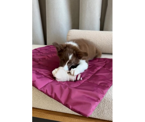 Игрушка для собак кекс Happy Peppy (Хэппи Пеппи) с отверстиями для корма Красный Игрушка для собак кекс Happy Peppy (Хэппи Пеппи) с отверстиями для корма Красный