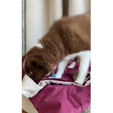 Игрушка для собак кекс Happy Peppy (Хэппи Пеппи) с отверстиями для корма