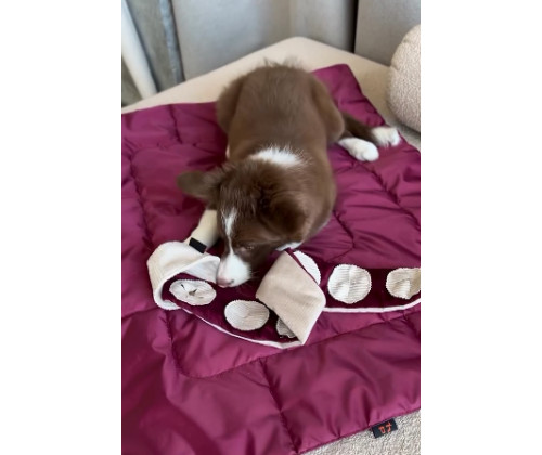 Игрушка для собак кекс Happy Peppy (Хэппи Пеппи) с отверстиями для корма Красный Игрушка для собак кекс Happy Peppy (Хэппи Пеппи) с отверстиями для корма Красный