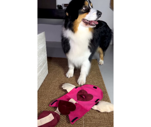 Игрушка для собак валентинка Happy Peppy (Хэппи Пеппи) с отверстиями для корма