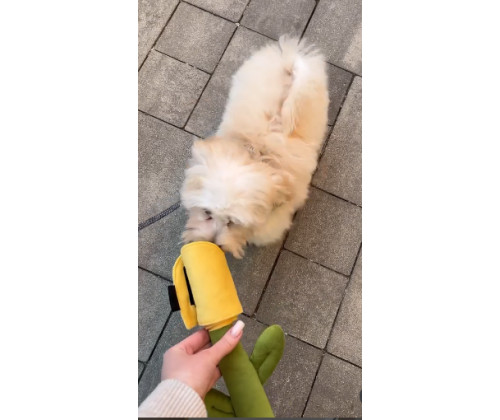 Игрушка для собак цветок тюльпан Happy Peppy (Хэппи Пеппи) с отверстиями для корма Желтый Игрушка для собак цветок тюльпан Happy Peppy (Хэппи Пеппи) с отверстиями для корма Желтый