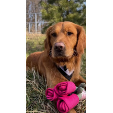 Игрушка для собак цветок тюльпан Happy Peppy (Хэппи Пеппи) с отверстиями для корма