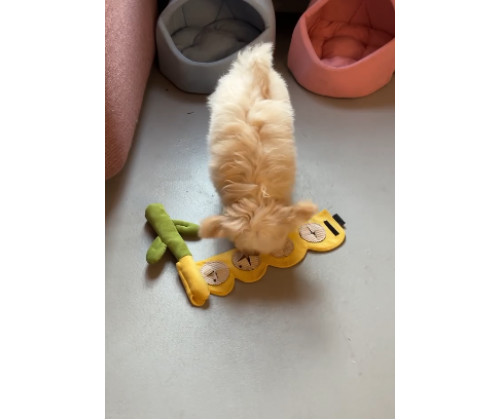 Игрушка для собак цветок тюльпан Happy Peppy (Хэппи Пеппи) с отверстиями для корма Желтый Игрушка для собак цветок тюльпан Happy Peppy (Хэппи Пеппи) с отверстиями для корма Желтый