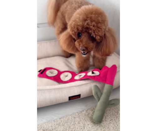 Игрушка для собак цветок тюльпан Happy Peppy (Хэппи Пеппи) с отверстиями для корма Игрушка для собак цветок тюльпан Happy Peppy (Хэппи Пеппи) с отверстиями для корма