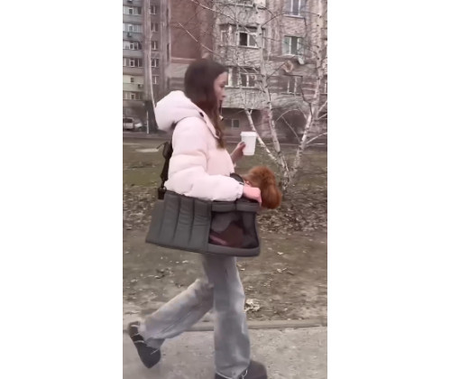 Сумка - переноска для котов и собак Happy Peppy (Хэппи Пеппи) Luna Bag Овал