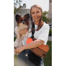 Сумка-органайзер для прогулок с собакой Happy Peppy (Хэппи Пеппи) Серый