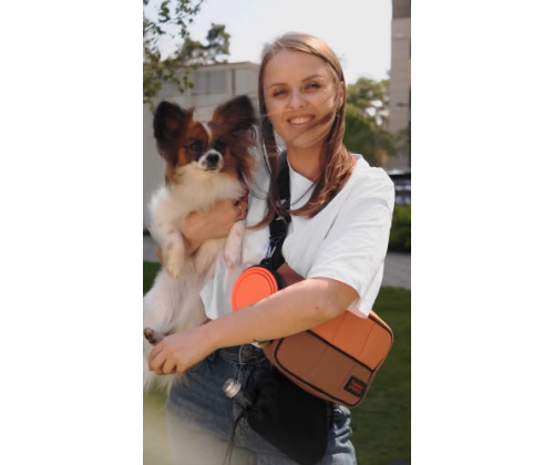 Сумка-органайзер для прогулок с собакой Happy Peppy (Хэппи Пеппи) Серый Сумка-органайзер для прогулок с собакой Happy Peppy (Хэппи Пеппи) Серый