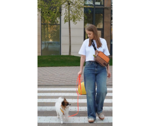 Сумка-органайзер для прогулок с собакой Happy Peppy (Хэппи Пеппи) Серый Сумка-органайзер для прогулок с собакой Happy Peppy (Хэппи Пеппи) Серый