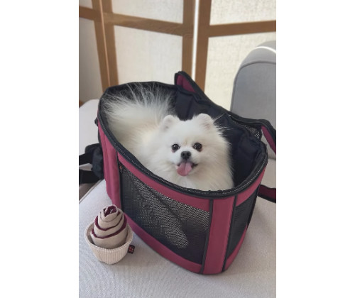 Сумка - переноска для котов и собак Happy Peppy (Хэппи Пеппи) Luna Bag Овал