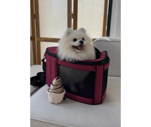 Сумка - переноска для котов и собак Happy Peppy (Хэппи Пеппи) Luna Bag Овал Бордовый