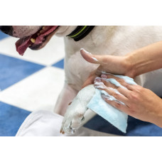 Одноразовые губки с шампунем для собак Dog Sponge (Дог Спонж) 12×20 см 10 шт.