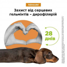 Капли для собак 25-40 кг от блох, клещей, вшей, гельминтов Bayer Elanco Advocate (Байер Адвокат) 3 х 4 мл