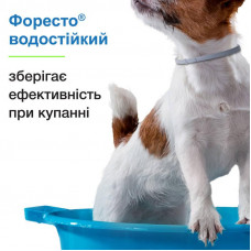 Foresto Bayer Animal (Форесто Байер) ошейник 38 см от блох и клещей для собак и котов до 8 кг
