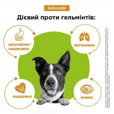 Капли для собак 25-40 кг от блох, клещей, вшей, гельминтов Bayer Elanco Advocate (Байер Адвокат) 3 х 4 мл