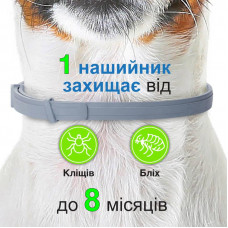 Foresto Bayer Animal (Форесто Байер) ошейник 38 см от блох и клещей для собак и котов до 8 кг