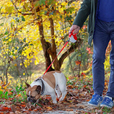 Поводир - рулетка для собак з шнуром Ferplast Amigo Cord (Ферпласт Аміго Корд) 15 x 3.6 x h 14 cм - M, Червоний