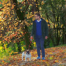 Поводир - рулетка для собак з шнуром Ferplast Amigo Cord (Ферпласт Аміго Корд) 15 x 3.6 x h 14 cм - M, Червоний