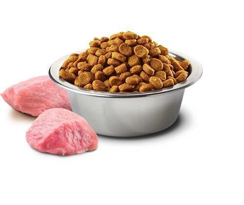 Farmina (Фармина) N&D Grain Free Neutered Тыква Ягненок Черника беззерновой корм для кошек стерилизованных 1.5 кг.