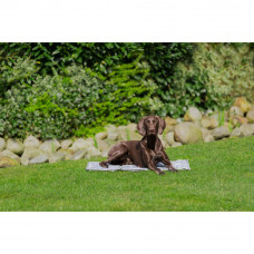 Охлаждающий коврик для собак Trixie (Трикси) XXL 110х70 см