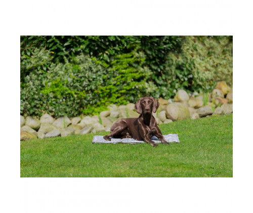 Охлаждающий коврик для собак Trixie (Трикси) XXL 110х70 см