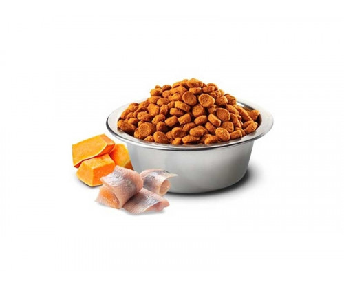 Farmina (Фармина) N&D Ocean Grain Free Adult Medium Maxi Cod Pumpkin Orange Треска Апельсин корм для собак