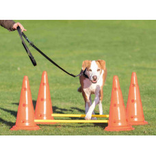 Набор помех для собак Trixie Dog Activity (Трикси) 23х30см/78см 6 конусов 3 перекладины