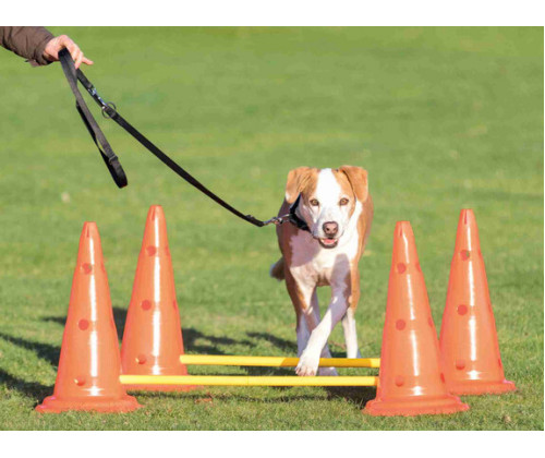 Набор помех для собак Trixie Dog Activity (Трикси) 23х30см/78см 6 конусов 3 перекладины