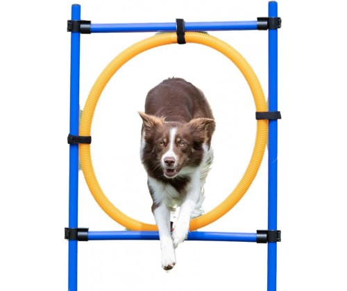 Игра аджилити для собак Trixie 3208 барьер-круг (Трикси) 115x65 см d3см