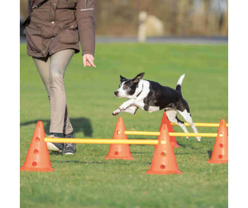 Набор помех для собак Trixie Dog Activity (Трикси) 23х30см/78см 6 конусов 3 перекладины