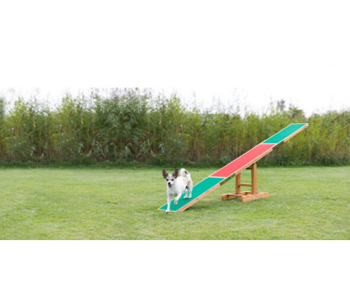 Доска-качалка аджилити для собак Trixie (Трикси) 300х54х34 см