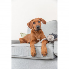 Игрушка Черепаха Хауке для собак Trixie BE NORDIC (Трикси) 34 см