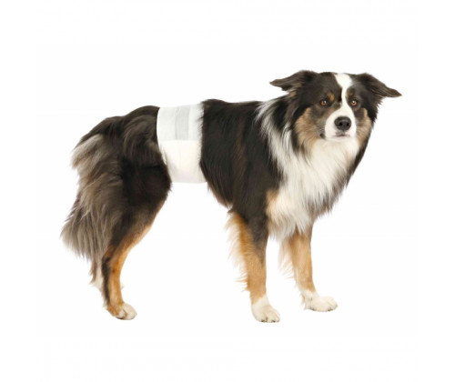 Подгузники для собак кобелов Trixie (Трикси) 12 шт