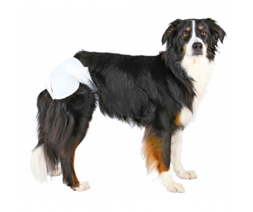 Подгузники для собак Trixie (Трикси) XL 40-58 см 12 шт