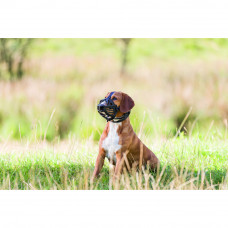 Намордник силиконовый для собак Trixie Muzzle Flex (Трикси) L