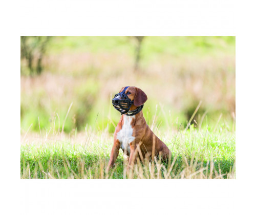 Намордник силиконовый для собак Trixie Muzzle Flex (Трикси) L