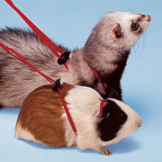 Регульована шлейка — повідець для морських свинок і дрібних тварин Ferplast Ny Rod (Ферпласт Ну Род)