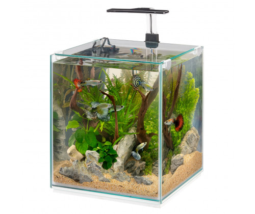 Аквариум с внутренним фильтром и лампой на 30 литров Ferplast Hydor Tonga 30 (Ферпласт Тонга)