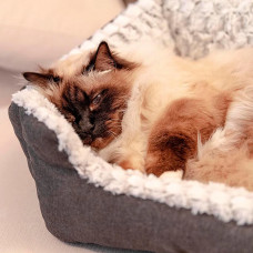 Лежанка для собак и кошек Ferplast Sweetie (Ферпласт Свити) 55 x 48 x h 18 cм - 55