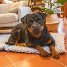 Коврик-подстилка для собак Ferplast Vanilla (Ферпласт Ванилла) 107 x 70 x h 5 cm - 105